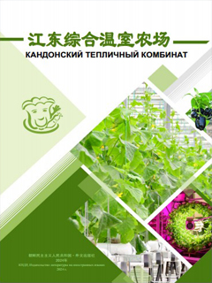 обложка книги-Кандонский тепличный комбинат