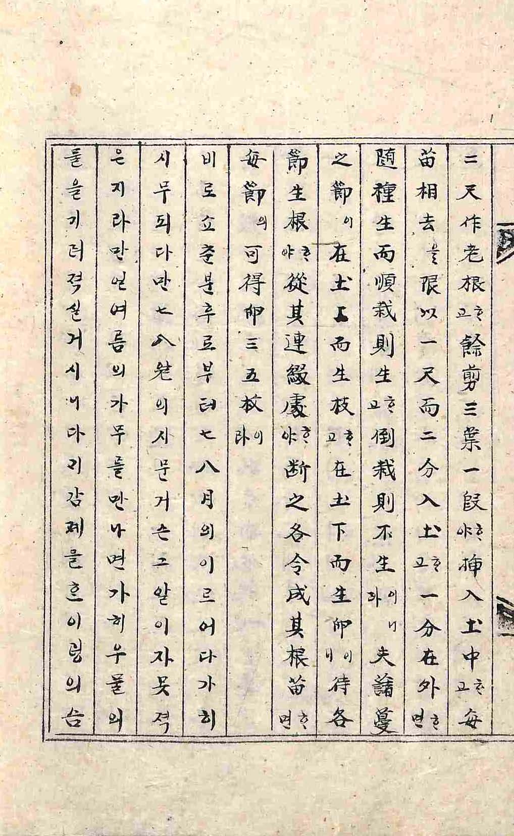 обложка книги-種藷方_2